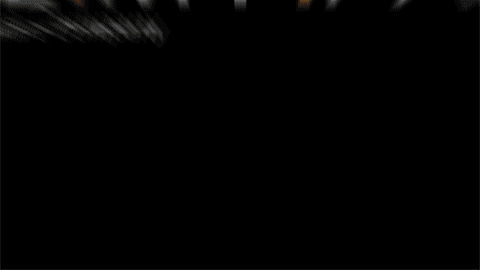 AmpWeb2.gif